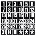 1"  x 1"  Date Magnet Set (1-31)