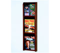 3 Magazine/6 Brochure Acrylic & Oak Wall Display