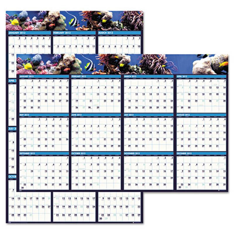Earthscapes Sea Life Scenes Reversible/Erasable Wall Calendar, 24" X 37", 2024