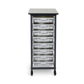 MBS-Single Row -8S Mobile Bin System - Single Row