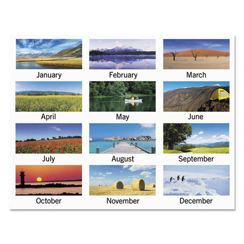 Open Plan Landscape Wall Calendar, 12" X 12", 2024