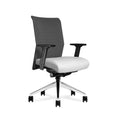 Proform Mesh Task Chair w/Synchro Control & Side Tension, Seat Slider, Adj Arms and Aluminum Base