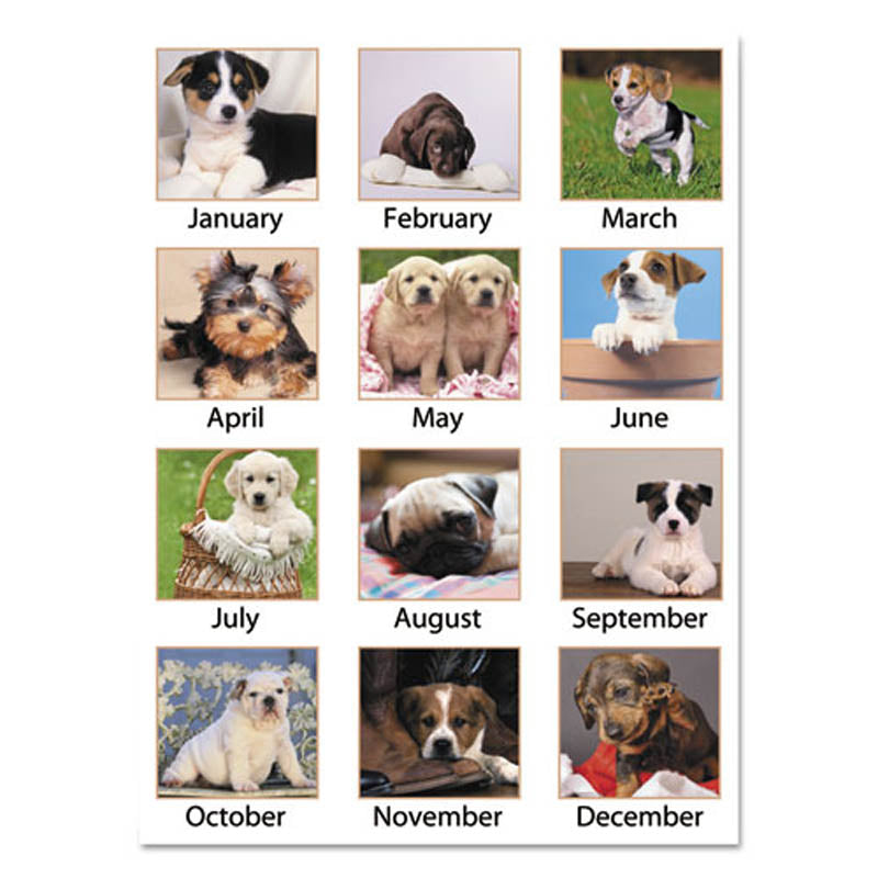 Puppies Monthly Desk Pad Calendar, 22" X 17", 2025