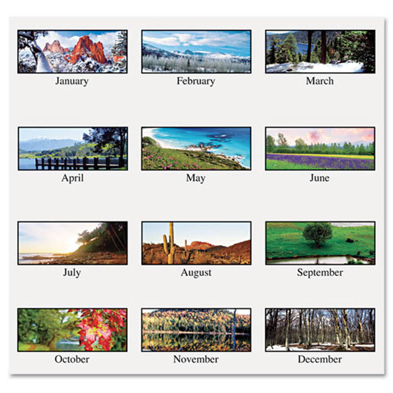 Scenic Landscapes Three-Months/page Wall Calendar, 12 1/4" X 26", 2023-2025