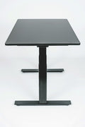 48" 3-Stage Dual Motor Electric Stand Up Desk