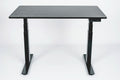 48" 3-Stage Dual Motor Electric Stand Up Desk