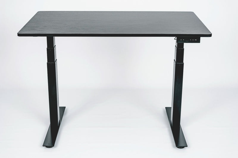 48" 3-Stage Dual Motor Electric Stand Up Desk