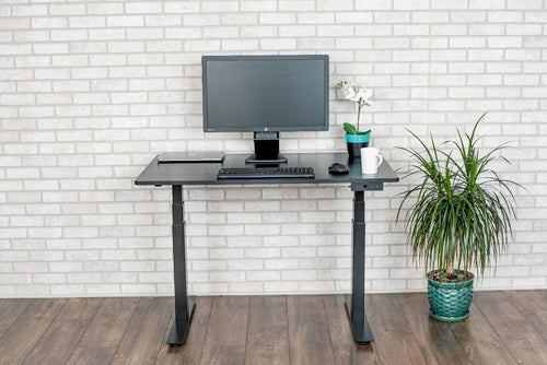 48" 3-Stage Dual Motor Electric Stand Up Desk