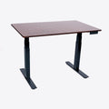 48" 3-Stage Dual Motor Electric Stand Up Desk
