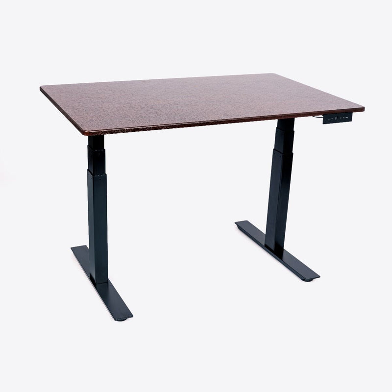 48" 3-Stage Dual Motor Electric Stand Up Desk
