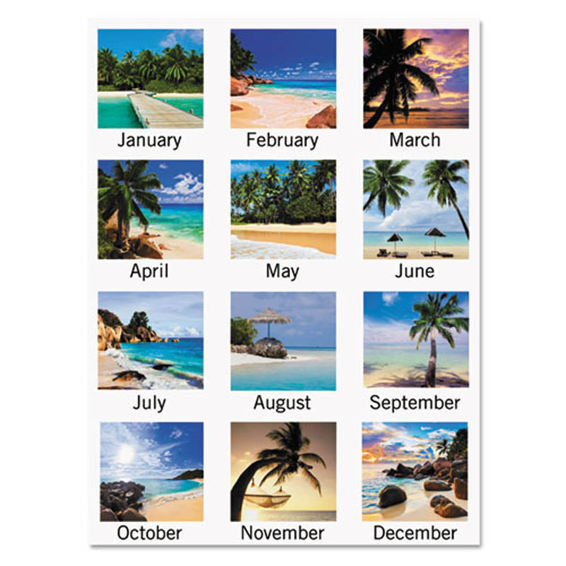 Tropical Escape Wall Calendar, 15" X 12", 2024